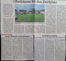 Grünflächen im Ort